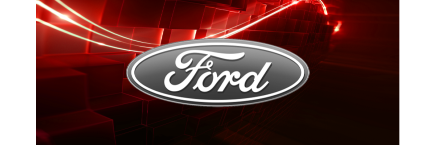Einspritzdüsen für Ford Fusion