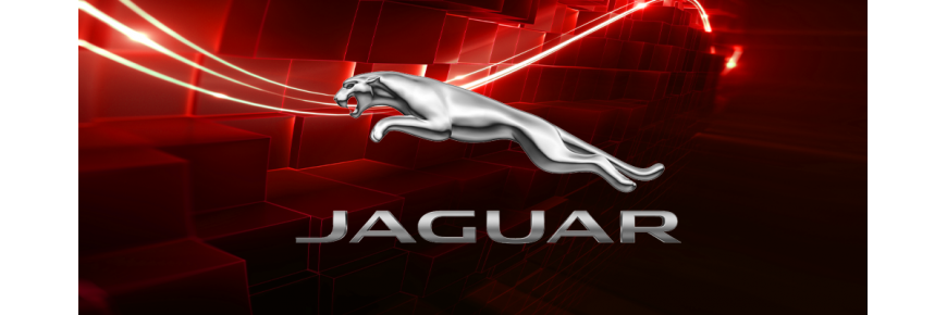 Einspritzdüsen für Jaguar XF