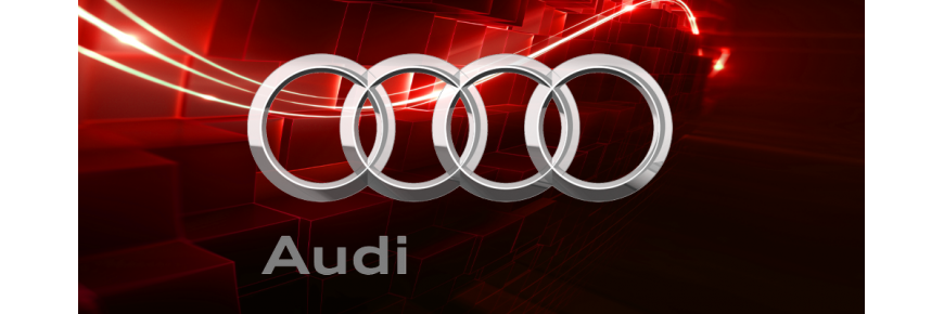 Professionell instandgesetzte Injektoren kompatibel für Fahrzeuge von Audi