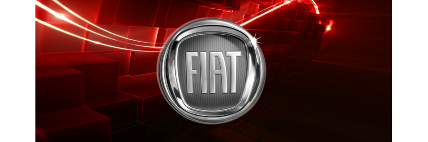 Einspritzdüsen für Fiat Scudo