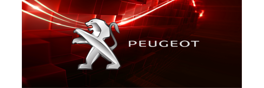 Einspritzdüsen für PEUGEOT 207