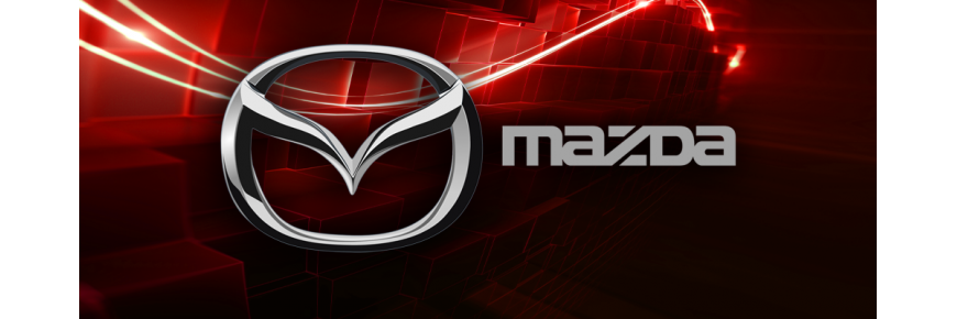 Professionell instandgesetzte Injektoren für Fahrzeuge der Marke Mazda