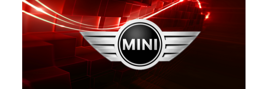 Professionell instandgesetzte Injektoren für Fahrzeuge der Marke MINI
