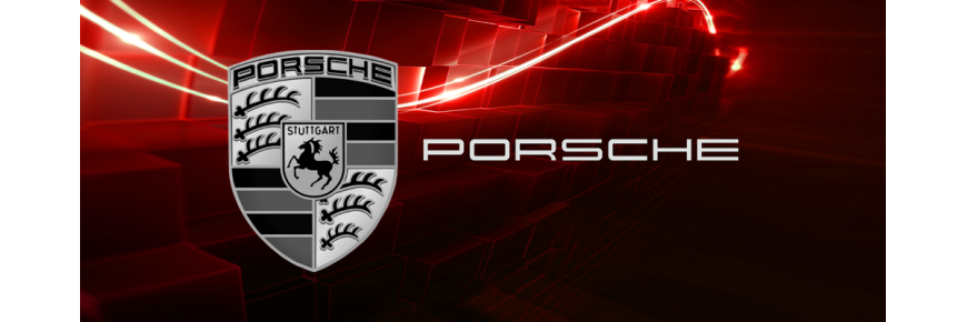 Professionell instandgesetzte Injektoren für Fahrzeuge von Porsche