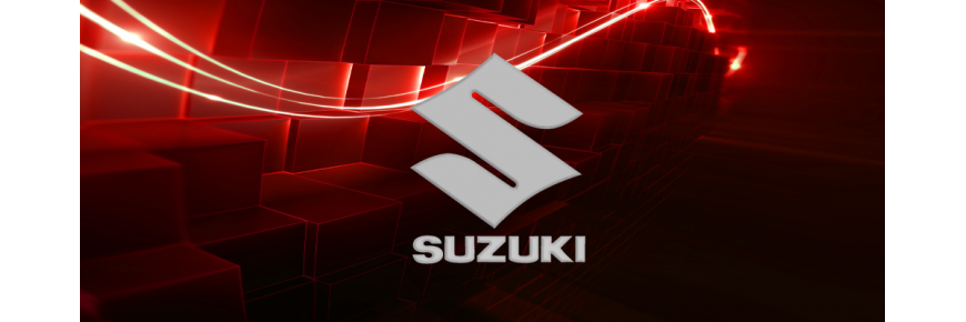 Professionell instandgesetzte Injektoren für Fahrzeuge der Marke Suzuki