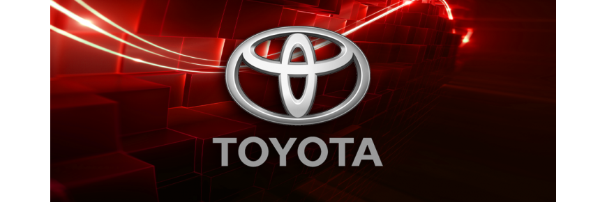 Professionell instandgesetzte Injektoren für Fahrzeuge der Marke Toyota