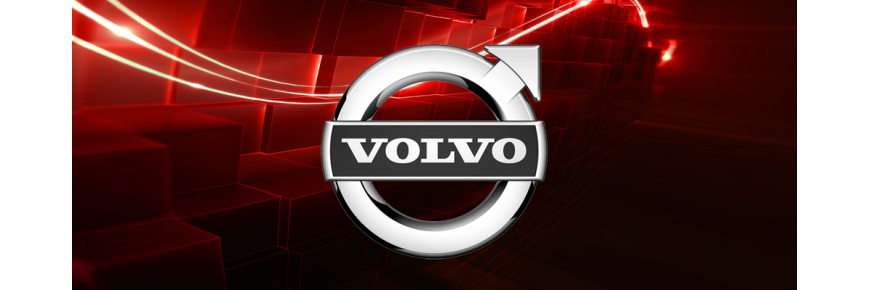 Professionell instandgesetzte Injektoren für Fahrzeuge der Marke Volvo